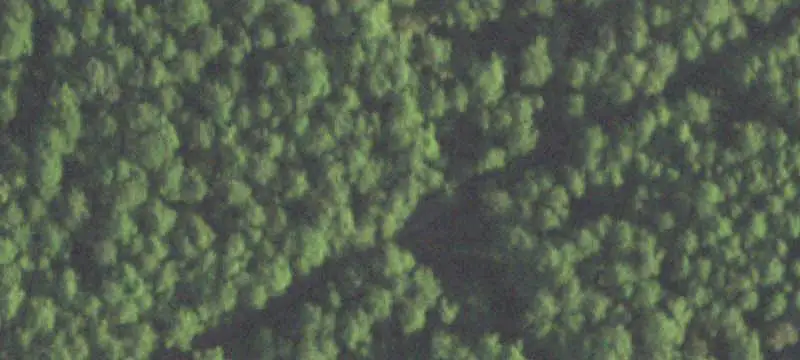 Farmland with Fish Pond