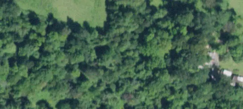 Cleared Agricultural Land