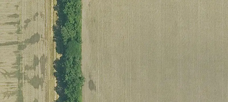 Land / Unimproved Land