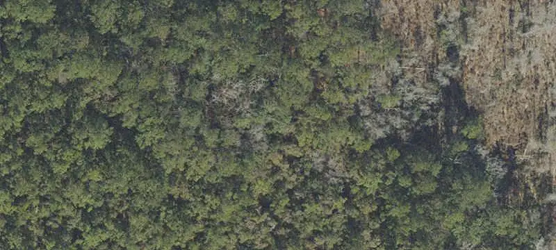 Lots/Land