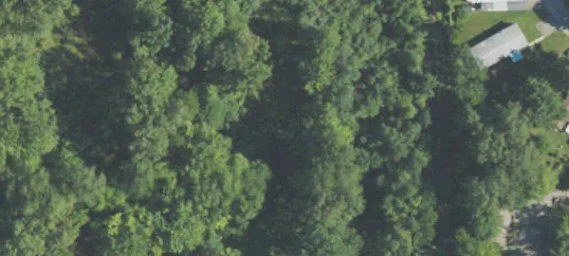 Commercial Land