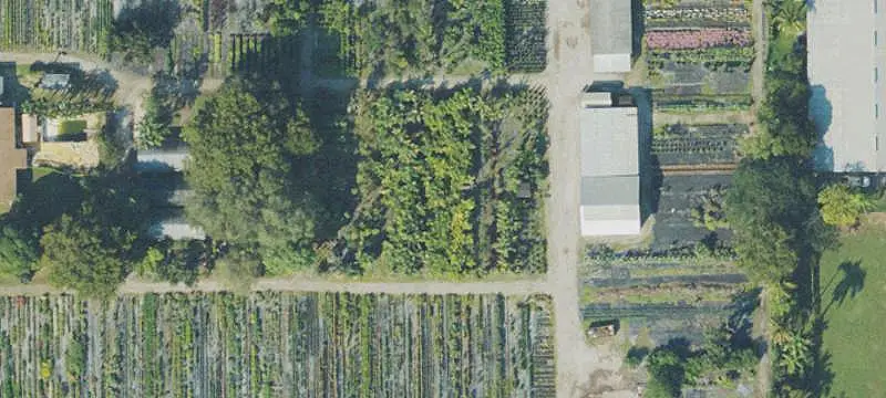 Nursery and Garden Center with Irrigation