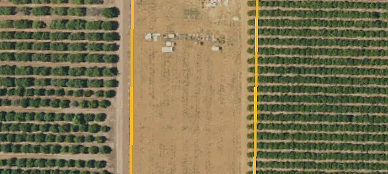 Diversified Citrus Farm