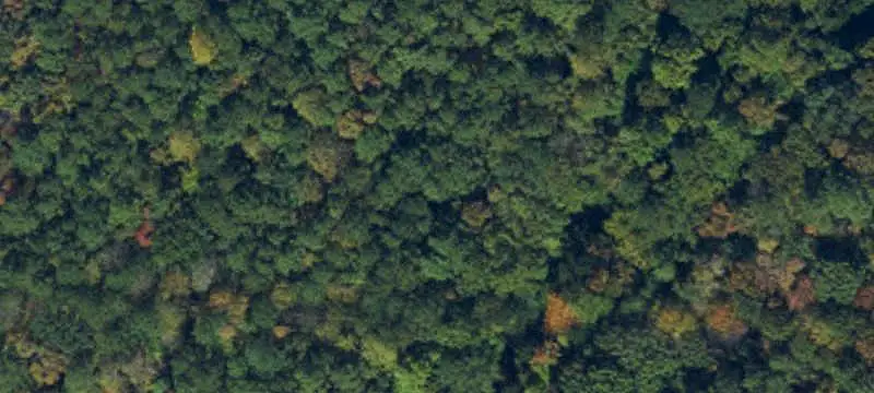 Other Land