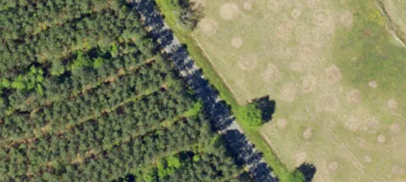 Hunting Land with Timber