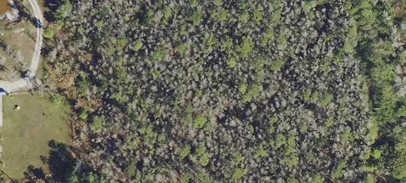 Land/Lot