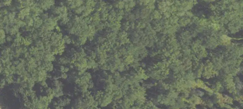 Wooded Waterfront Land