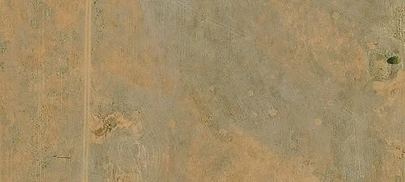 Established Vineyard Property