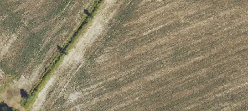 Farmland and Wooded Agricultural Tract