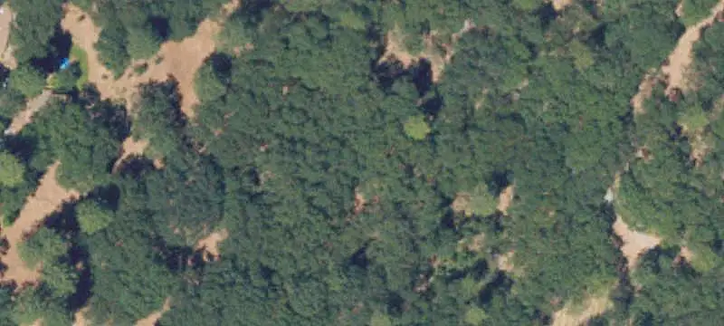Creekside Land with Growing Structures