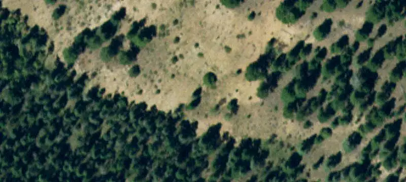 Mountainous Hunting Land