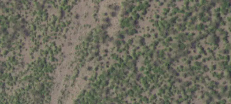 Improved Ranch with Hunting Habitat