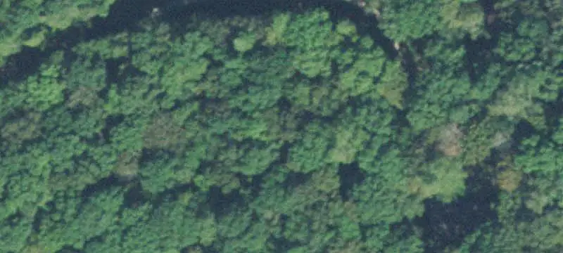 Wooded Recreational Land