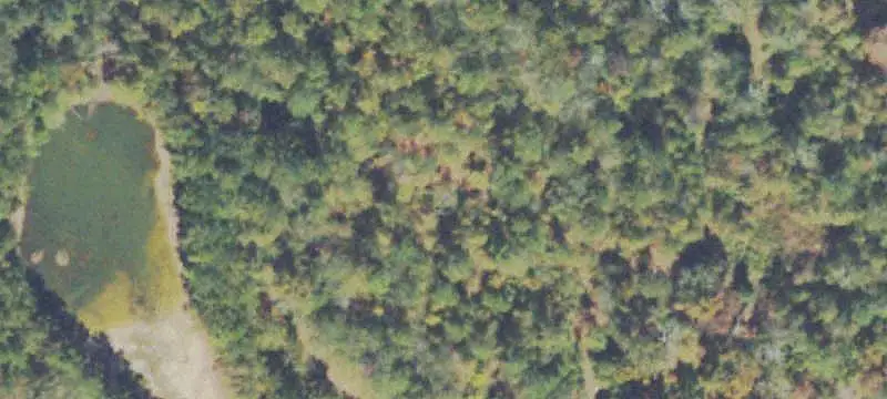 Land / Unimproved Land