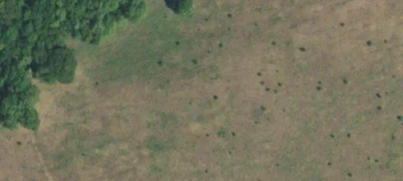 Cattle Farm with Pond