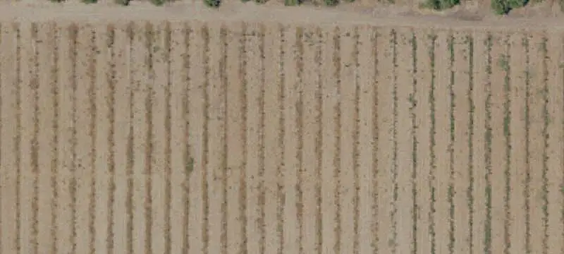 Almond Processing Manufacturing Facility
