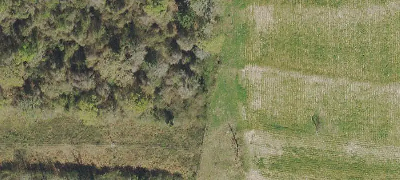 Fenced Agricultural Land