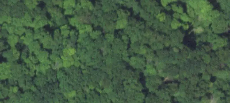 Lots/Land