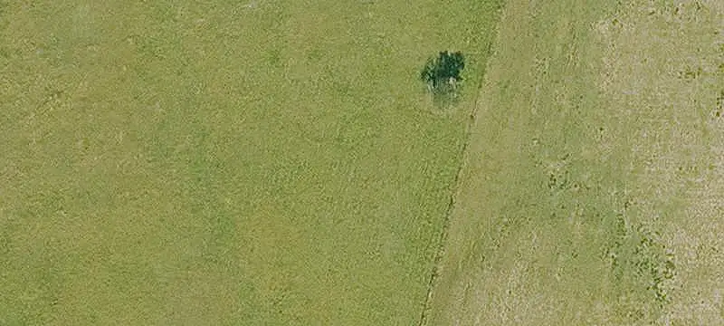 Hunting Land with Creek