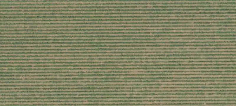 Agricultural Land