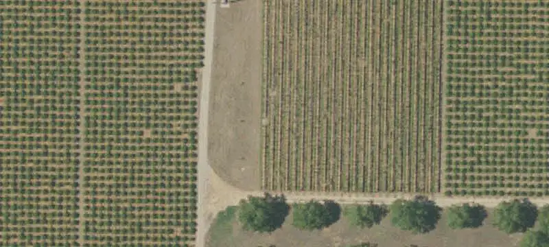 Vineyard Estate with Winery