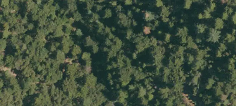 Land/Lot