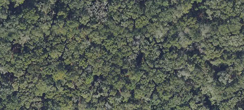 Wooded Agricultural Land