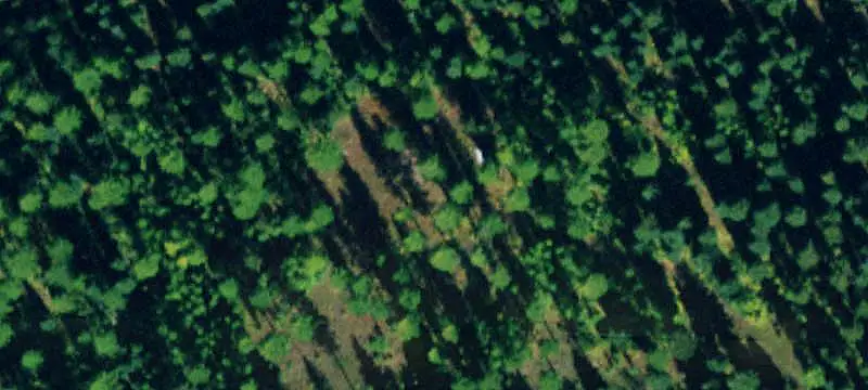 Land