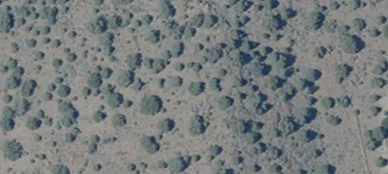 Land
