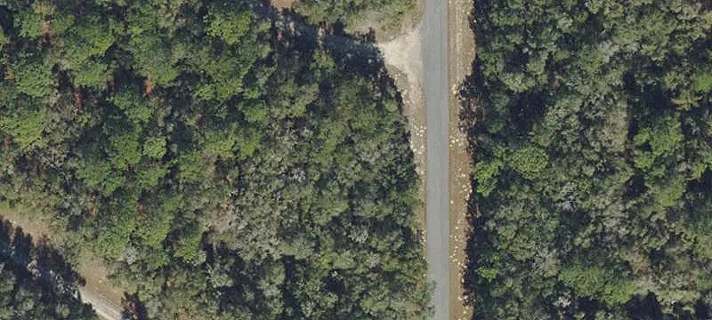9200 North Rhine Way, Citrus Springs, FL 34434