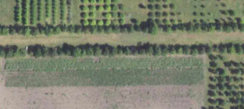 Agricultural Property With Outbuildings