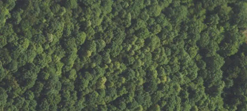 Land/Lot