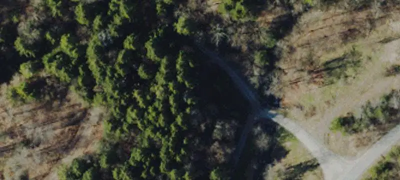Wooded Hunting Land