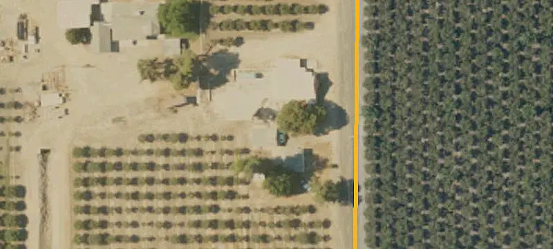 Pistachio Farm