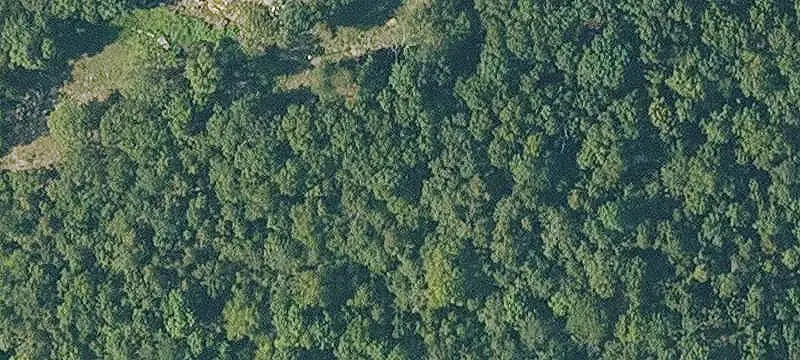 Ridgetop Recreation Land