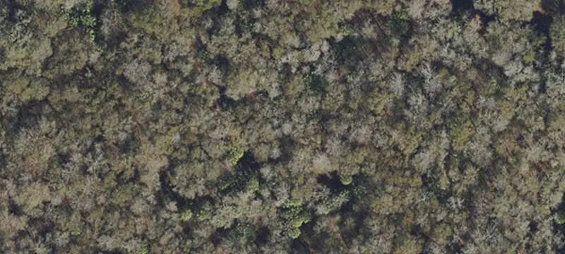 Lots/Land