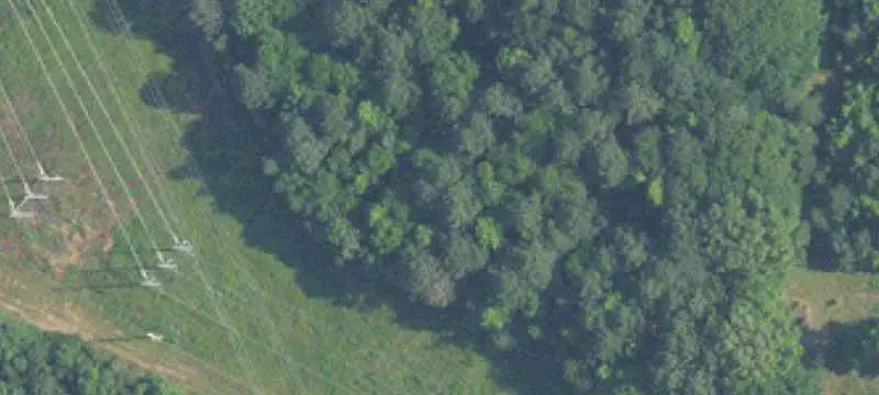 Wooded Land Parcel