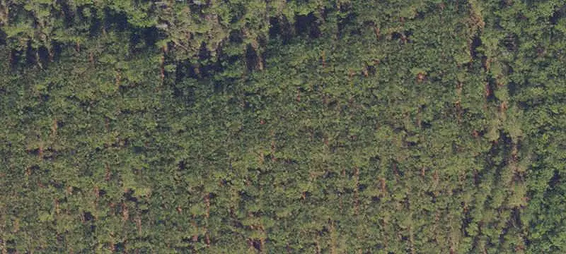 Lots/Land