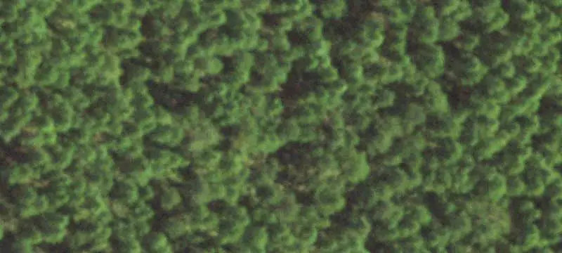 Wooded Hunting Land with RV Site
