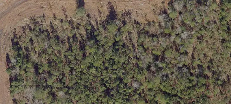Wildlight Commercial Land
