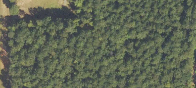 Church Facility with Wooded Acreage