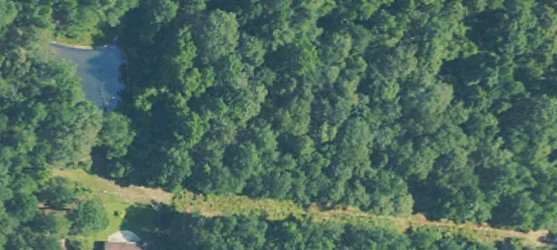 Planted Pine Hunting Land