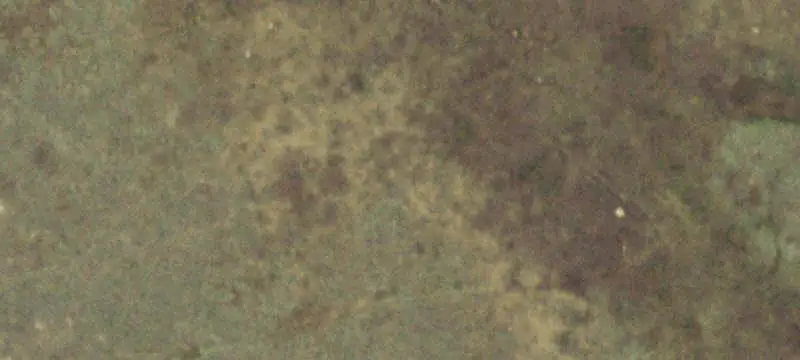 Agricultural Land with Water Features