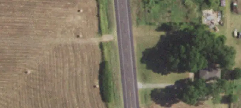 Agricultural Land with Pecan Trees