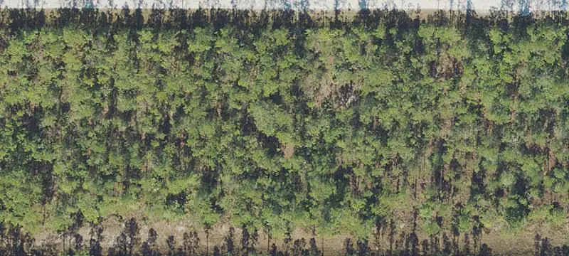 713 HIBISCUS DRIVE, INDIAN LAKE ESTATES, FL 33855