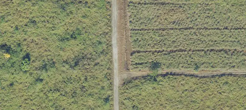 Fenced Agricultural Farmland