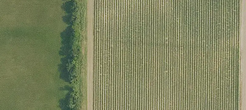 Commercial Land on Four-Lane Highway