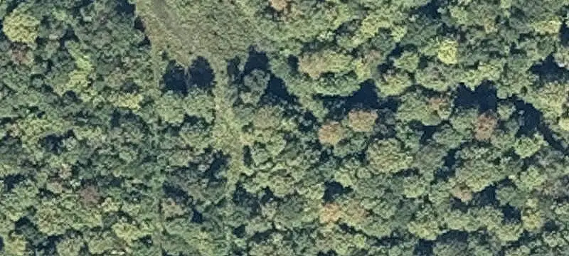 Waterfront Land with River Frontage
