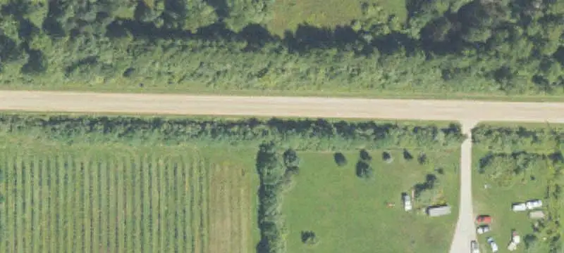 Irrigated Blueberry Farm