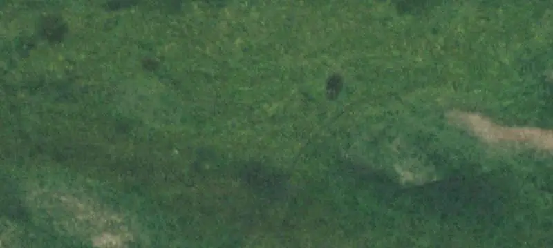 Level Pasture Farmland